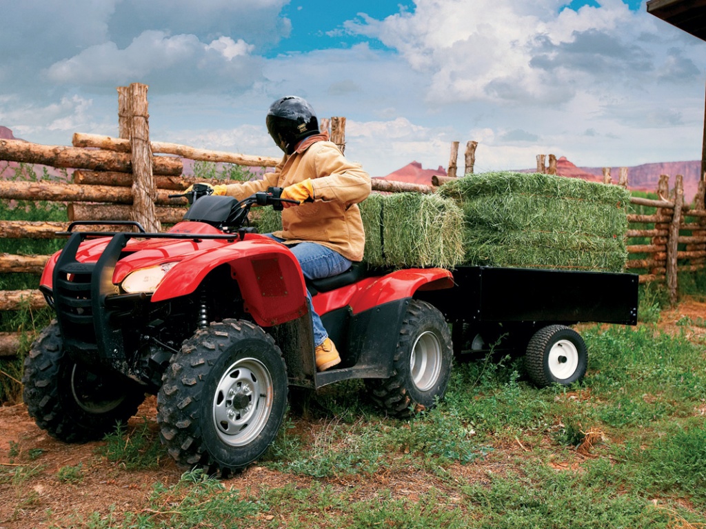 Фото квадроцикла Honda TRX420FA