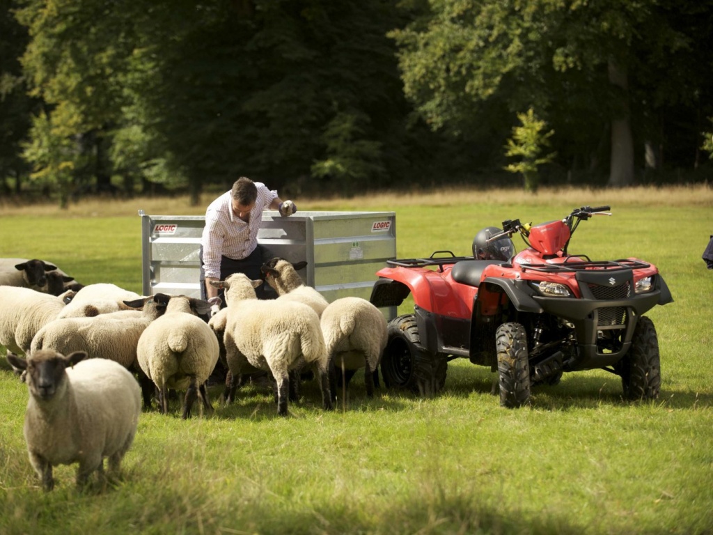 Фото квадроцикла Suzuki LT-A500XP KingQuad